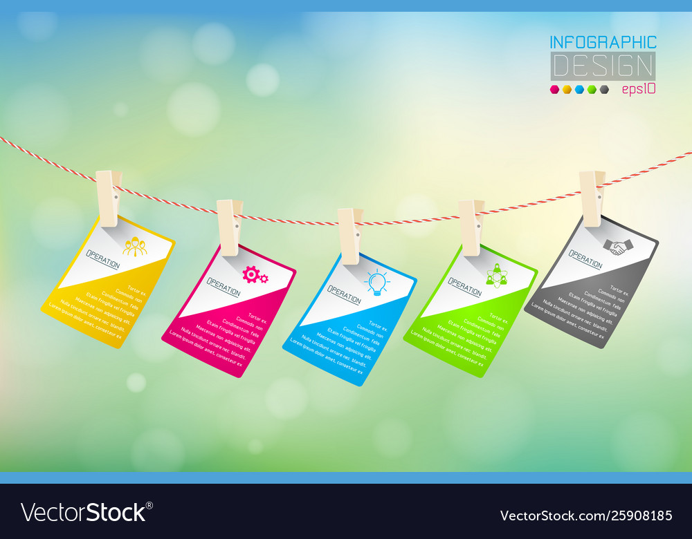 Business infographic with 5 steps on nature