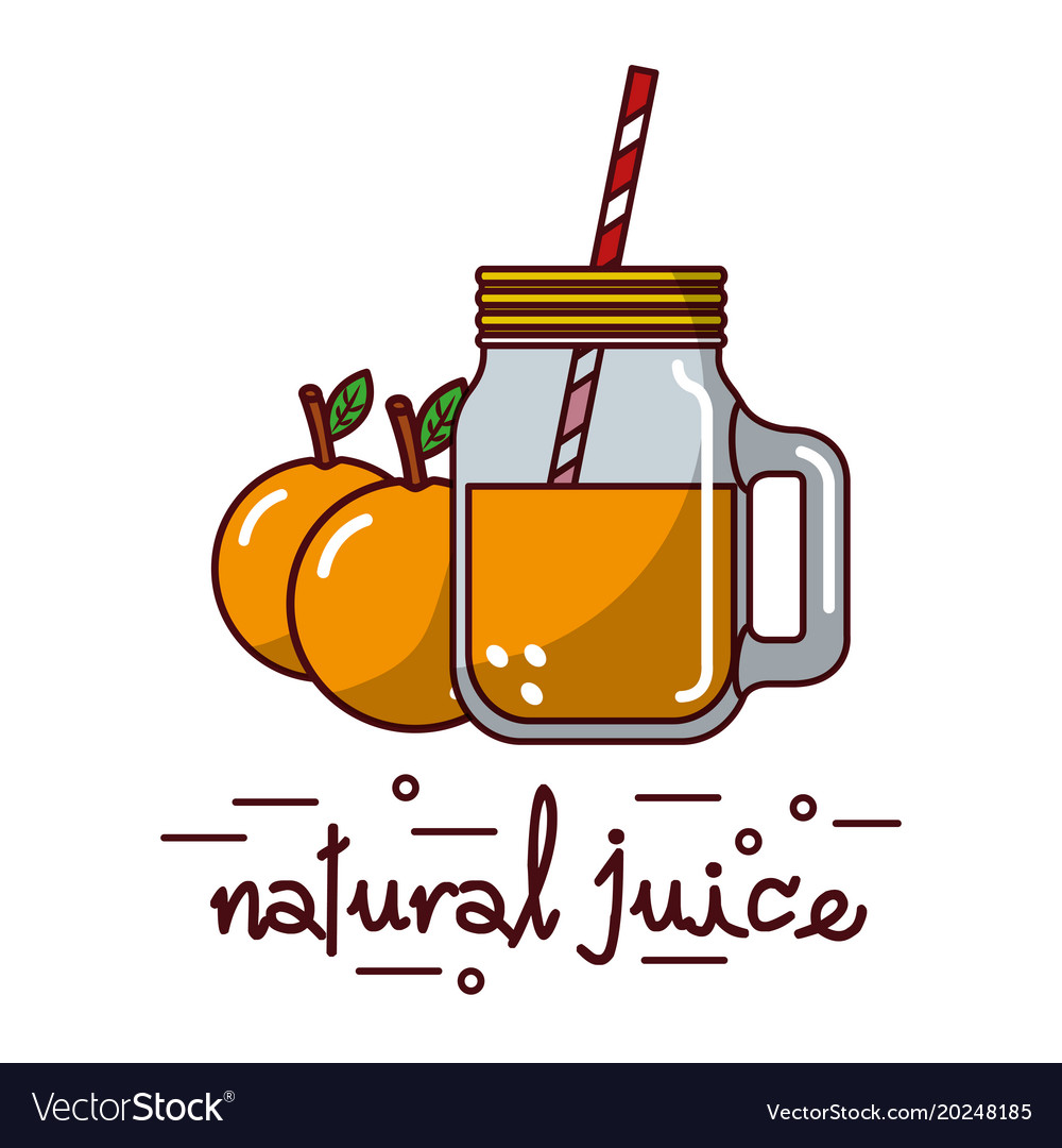 Orange fruit and natural juice glass straw Vector Image