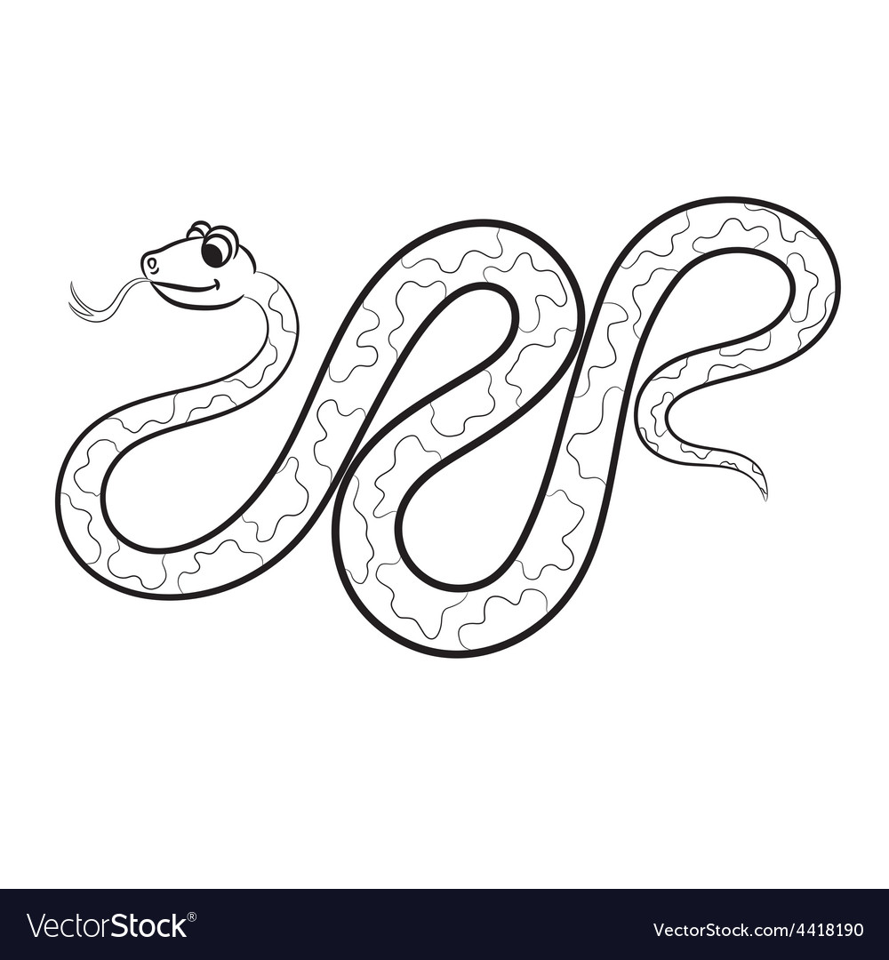 Boa outlined Royalty Free Vector Image - VectorStock