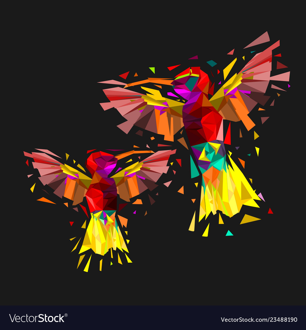 Isolated low poly colorful couple hummingbird