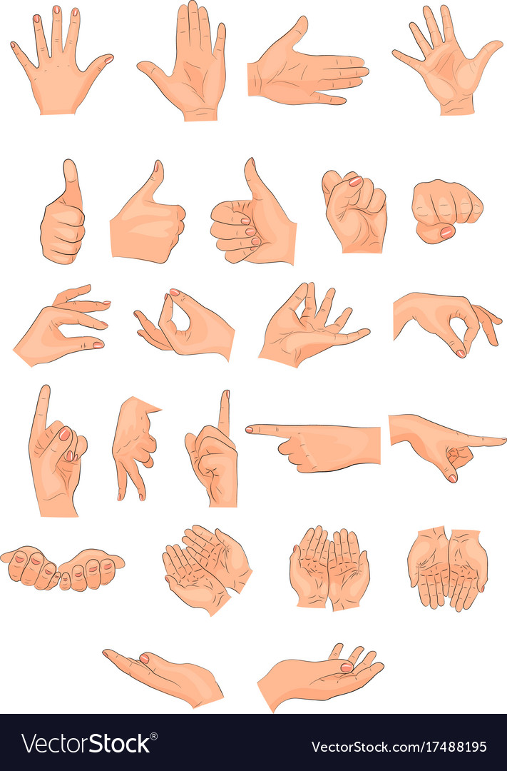 presentation hand positions