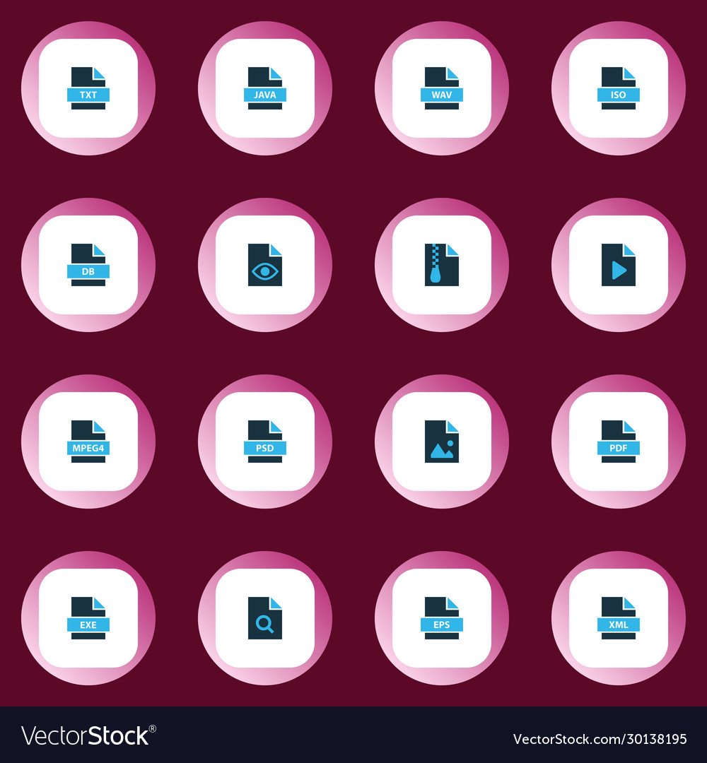File icons colored set with search mpeg4 vector image File icons colored set with search mpeg4