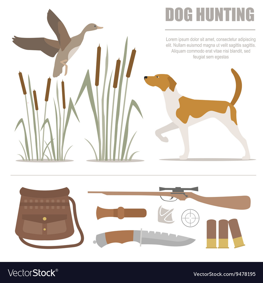 Hound sales hunting equipment