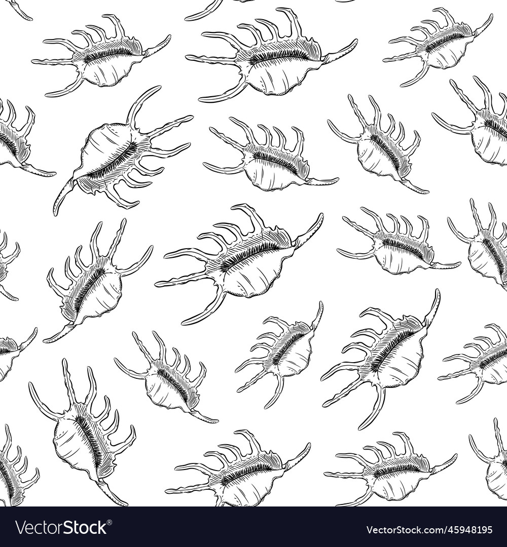 Seamless pattern lambis scorpion conch chicoreus