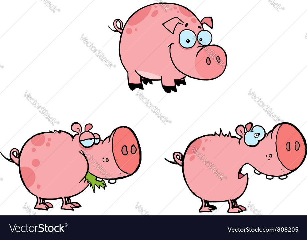 Pink pigs collection