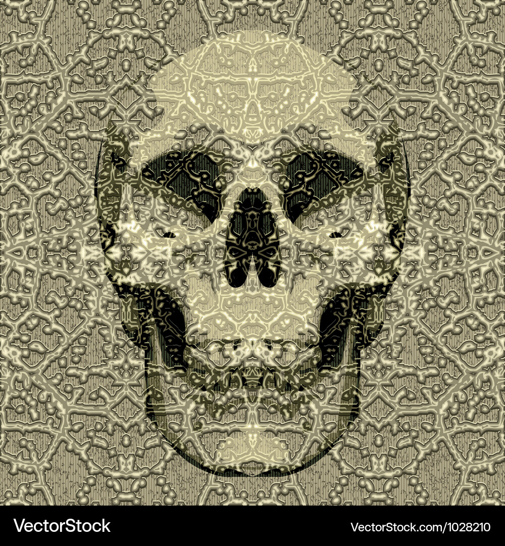 Skull Royalty Free Vector Image - VectorStock