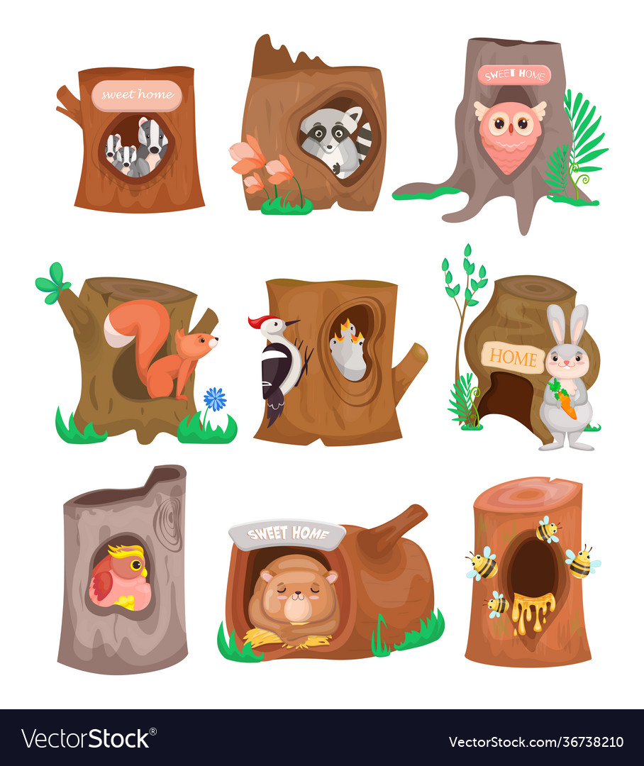 Various cute animals in hollows flat set Vector Image