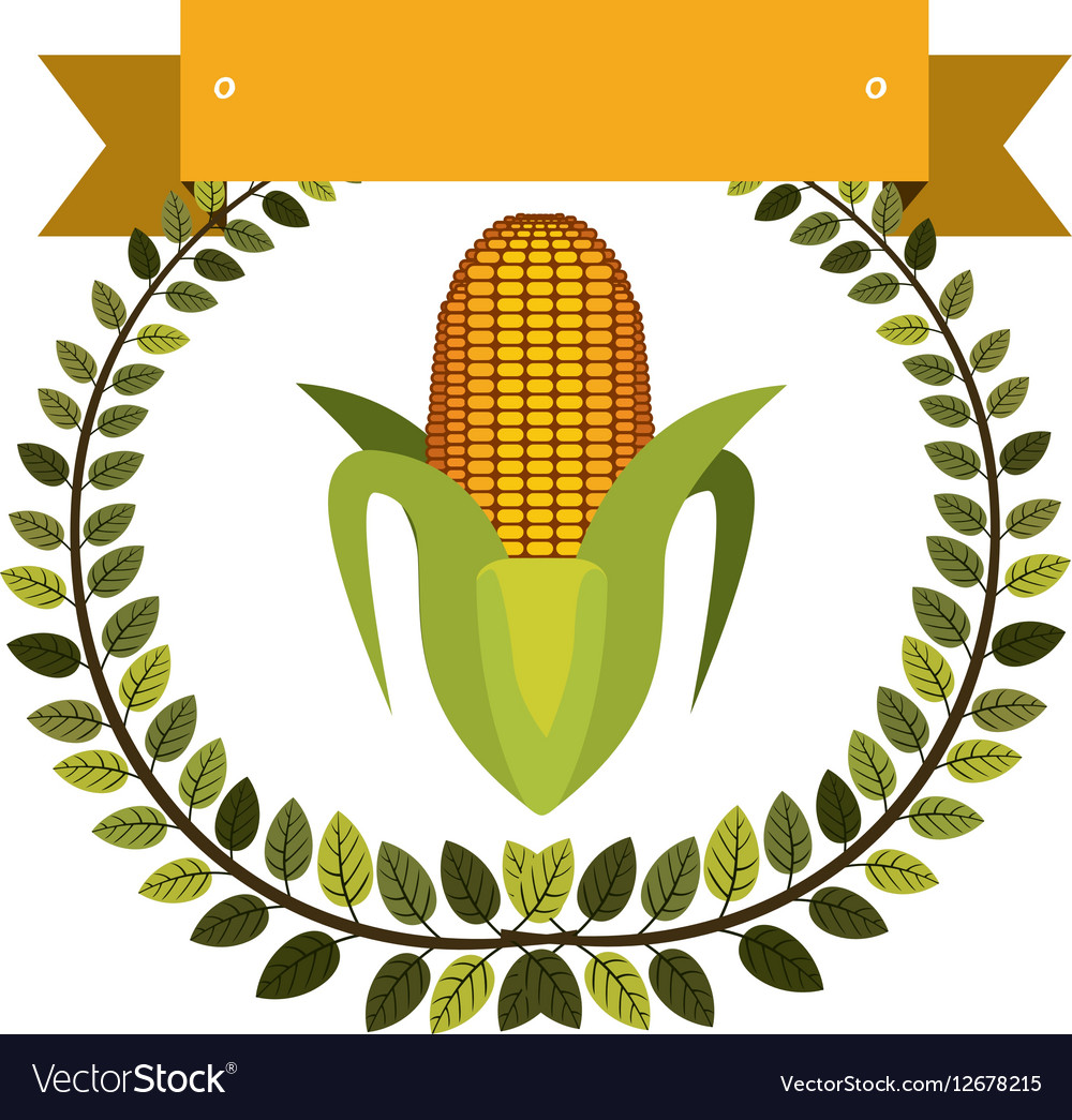 Colorful olive crown and label with corn