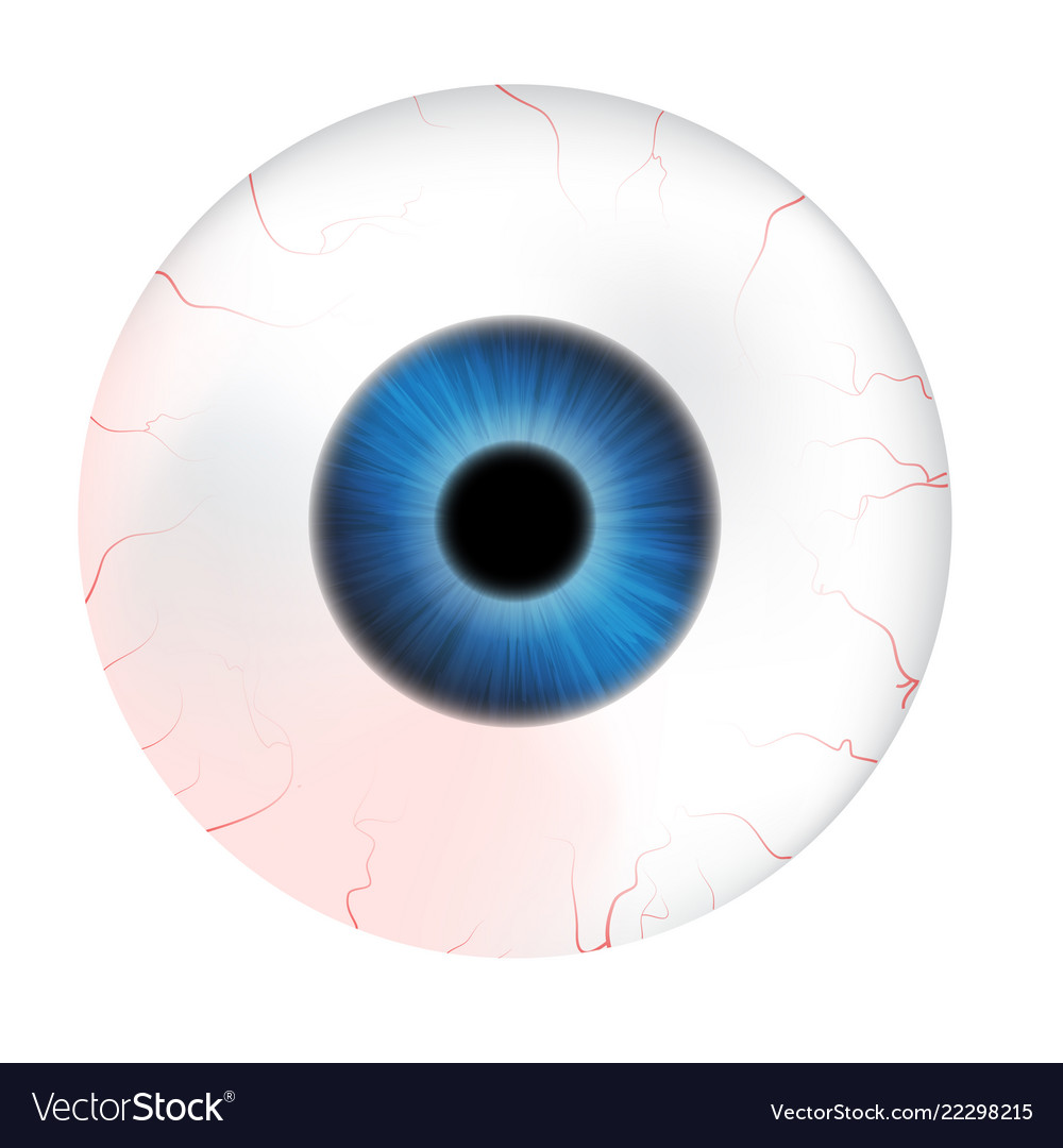 Image of realistic human eye ball with colorful Vector Image