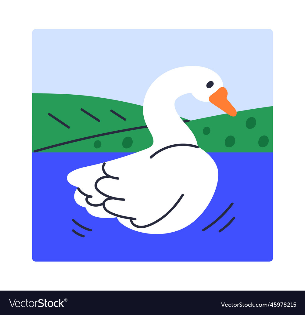 swan-wild-color-swimming-in-lake-water-in-nature-vector-image