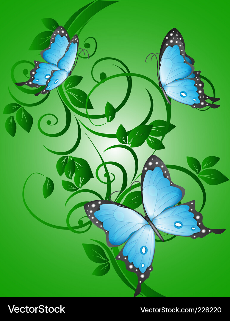 Butterfly Royalty Free Vector Image - VectorStock