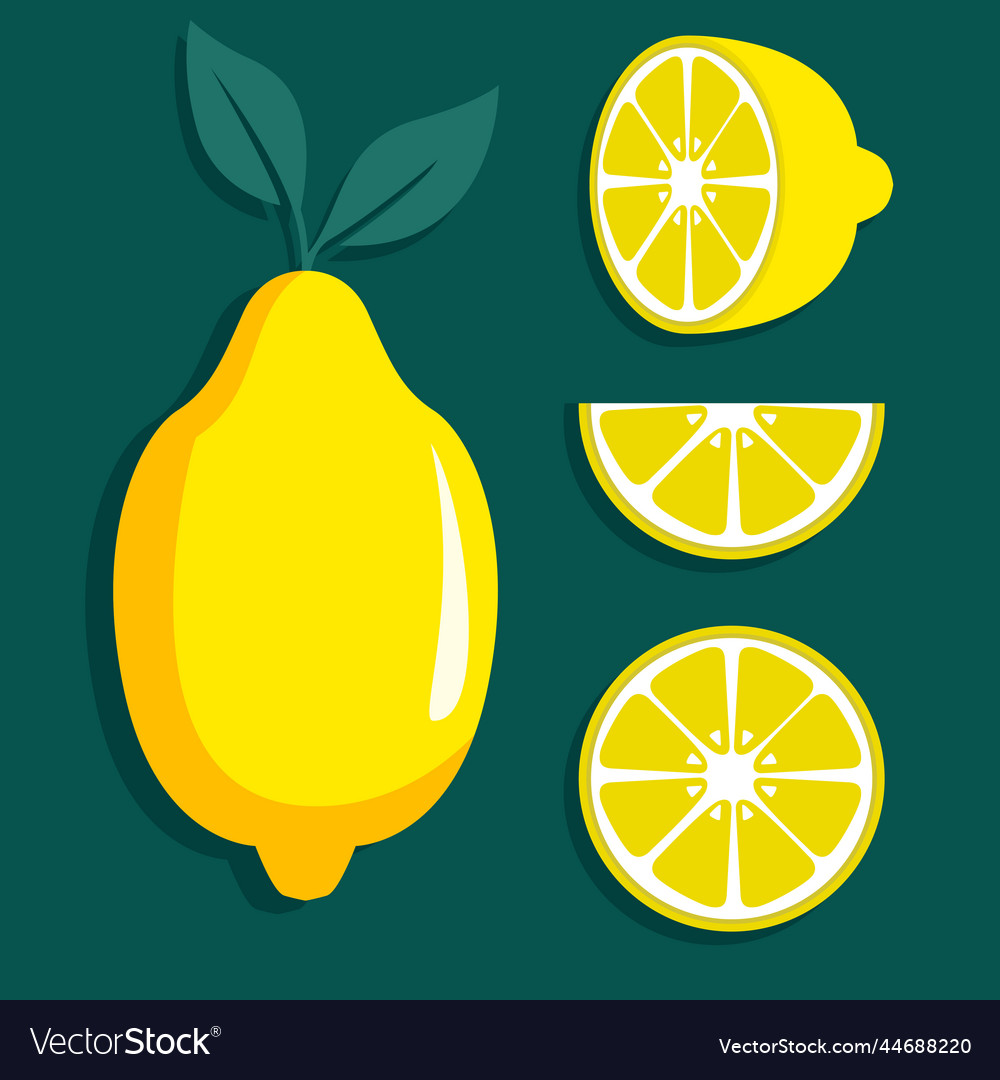 Set of lemon icons whole and sliced isolated