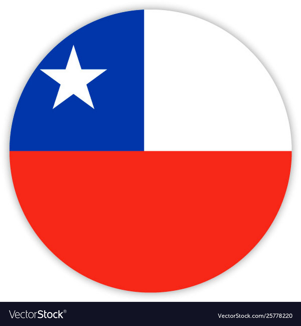 Simple round flag vector image Simple round flag