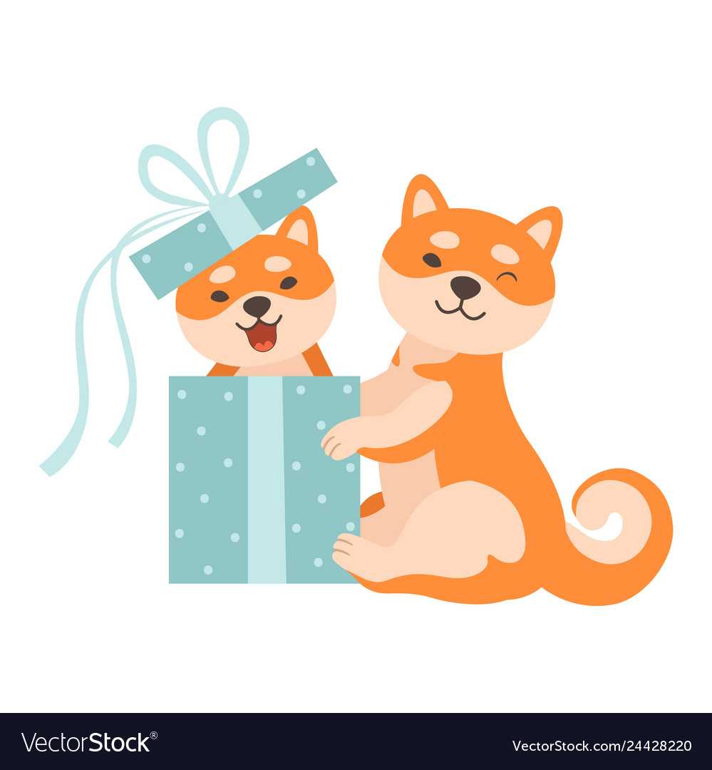 Two cute shiba inu dogs one dog sitting in gift Vector Image Two cute shiba inu dogs one dog sitting in gift Vector Image