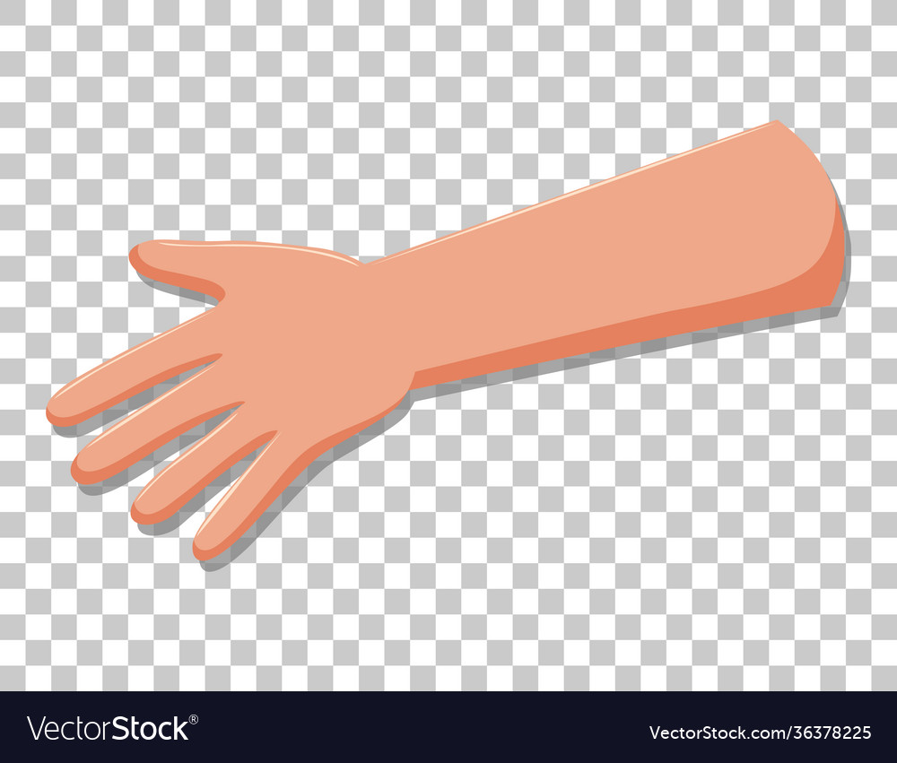 Arm with fingers isolated on transparent