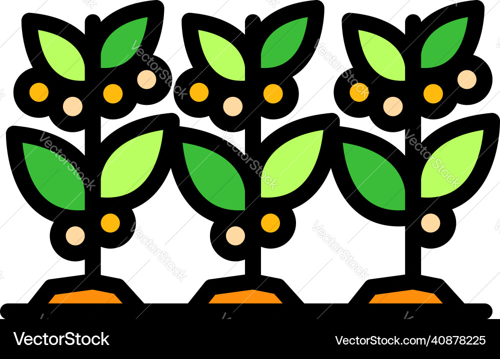 Coffee plants icon color outline Royalty Free Vector Image