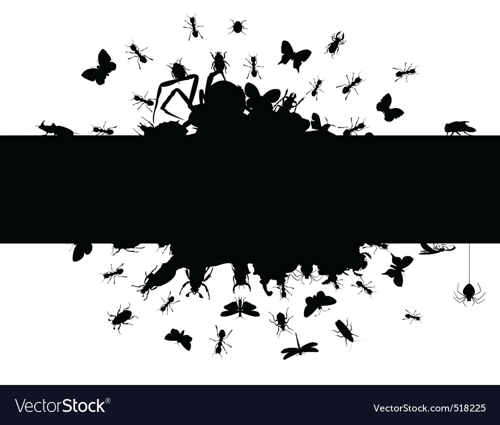 Frame of insects Royalty Free Vector Image - VectorStock