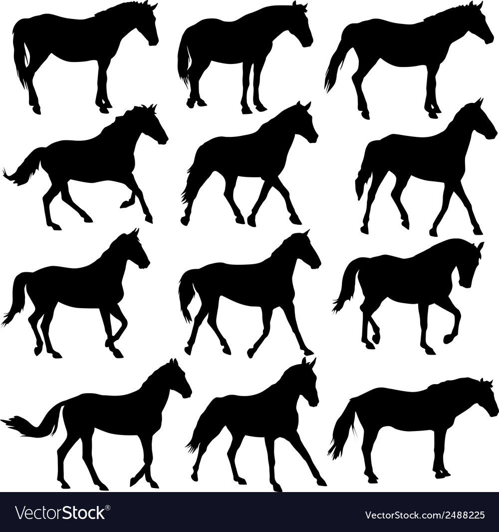 Horse Silhouettes - Collection