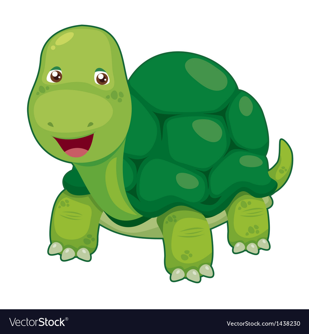 Turtle Royalty Free Vector Image - VectorStock