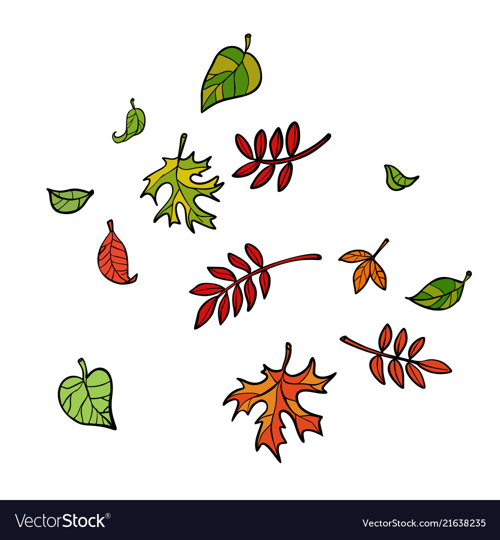 Colorful Autumn Leaves