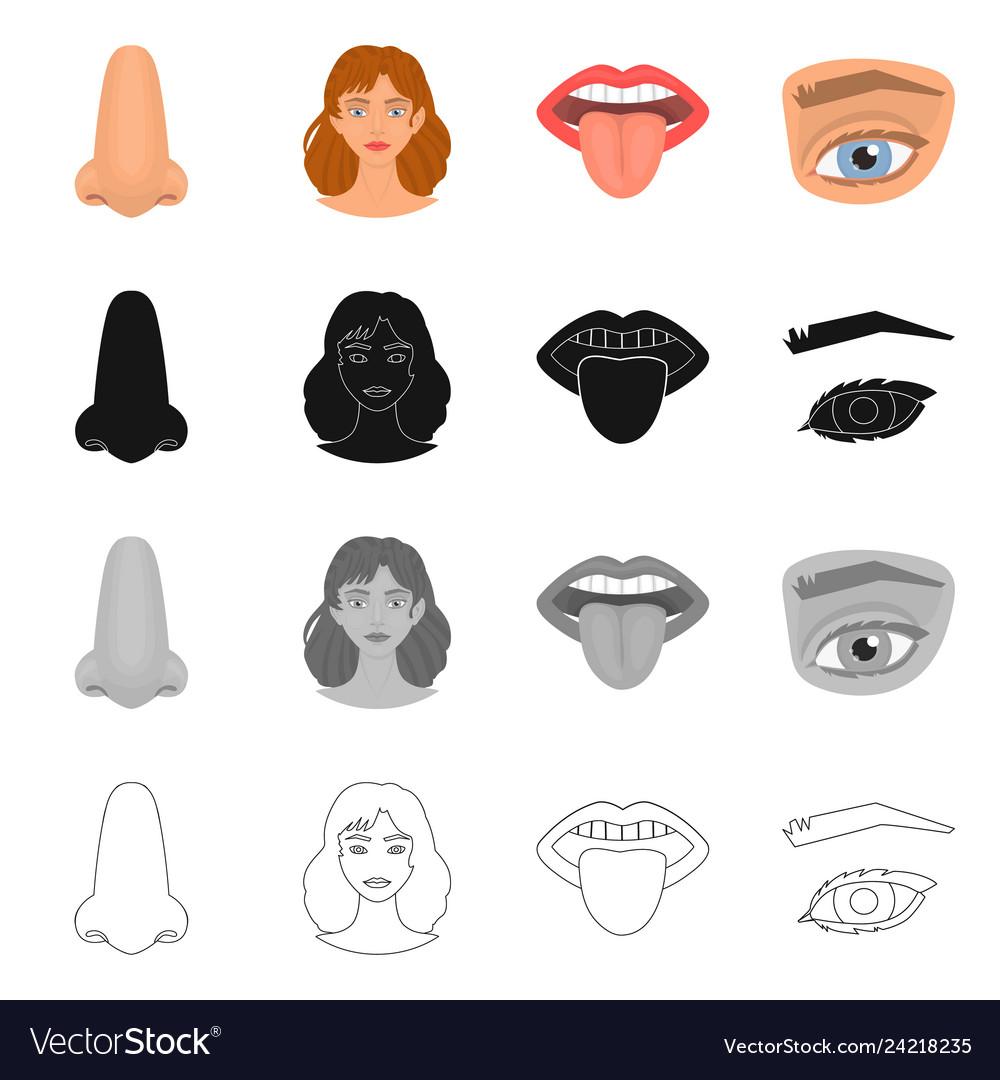 Design of body and part icon set vector image Design of body and part icon set
