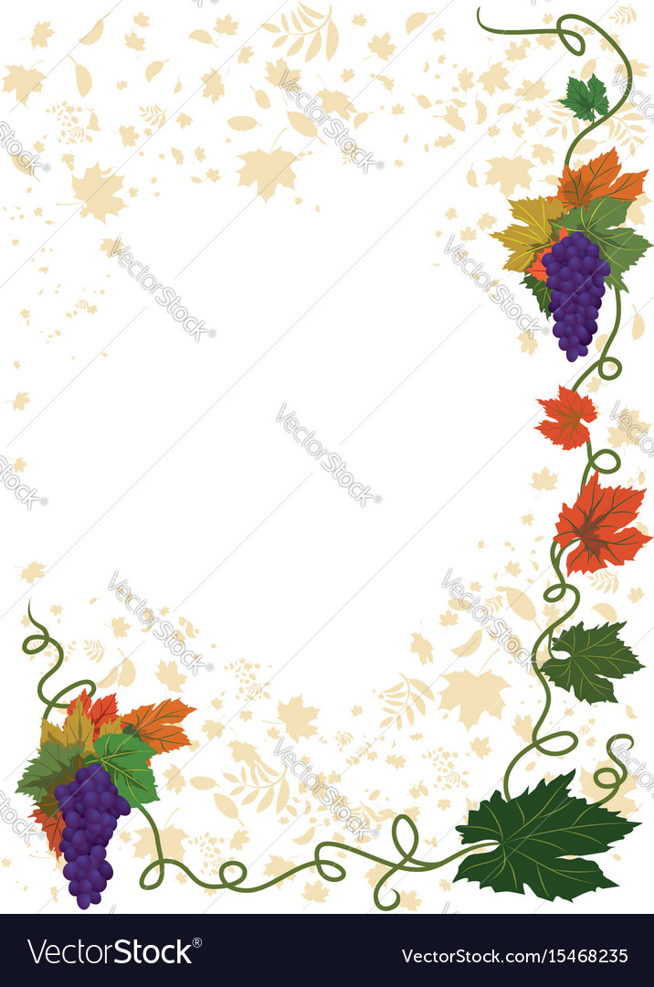 Grapes frame Royalty Free Vector Image - VectorStock