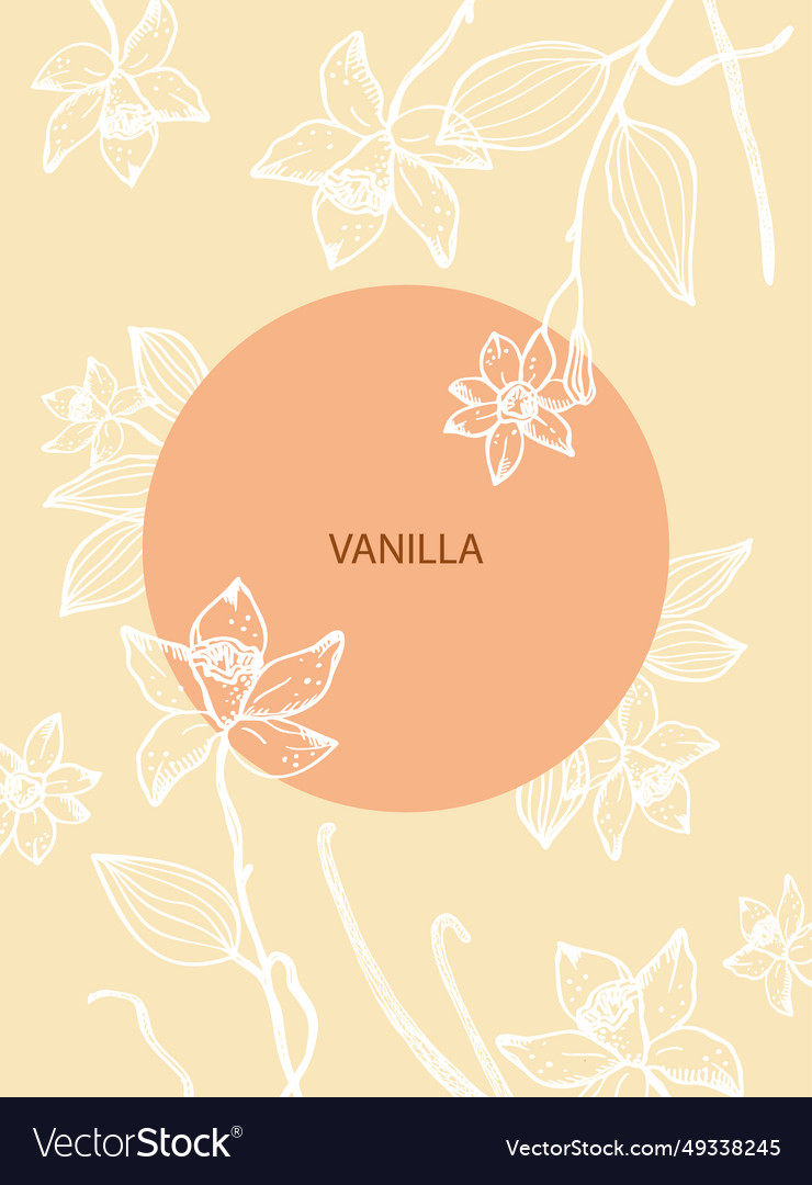 Vanilla label template background for text