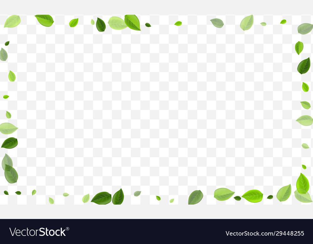 Forest leaves design green leaf tree