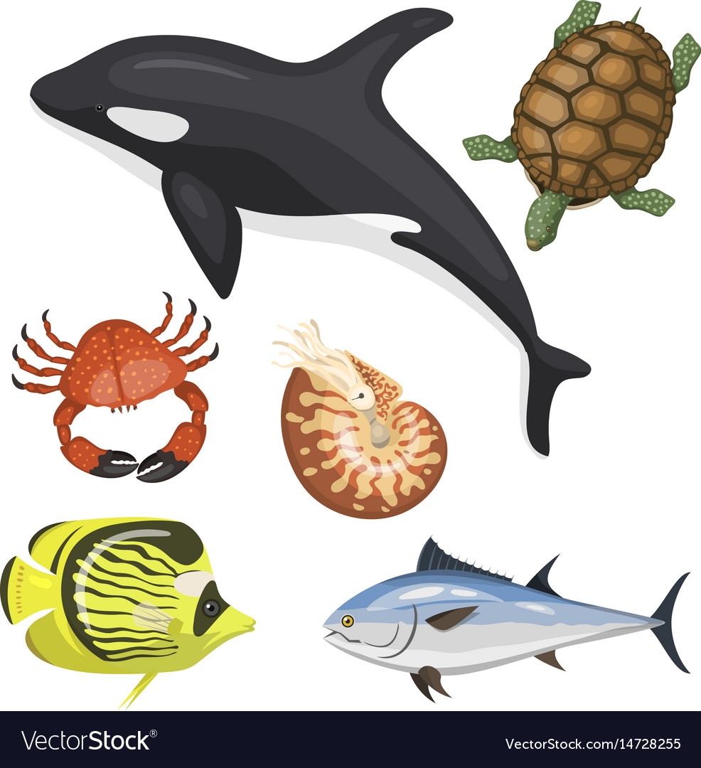Set Different Types Sea Animals Royalty Free Vector Image