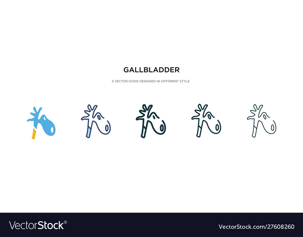 Gallbladder icon in different style two colored