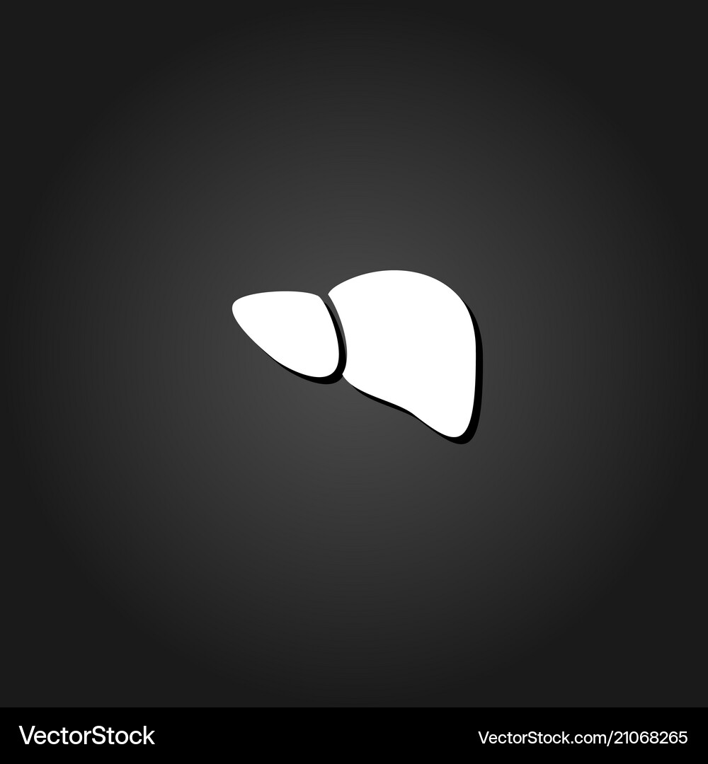 Liver icon flat Royalty Free Vector Image - VectorStock