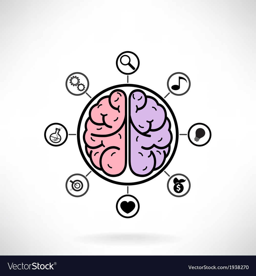Brain Function & Cognition