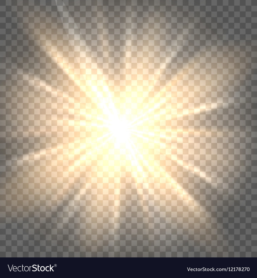 Sun rays on transparent background Royalty Free Vector Image