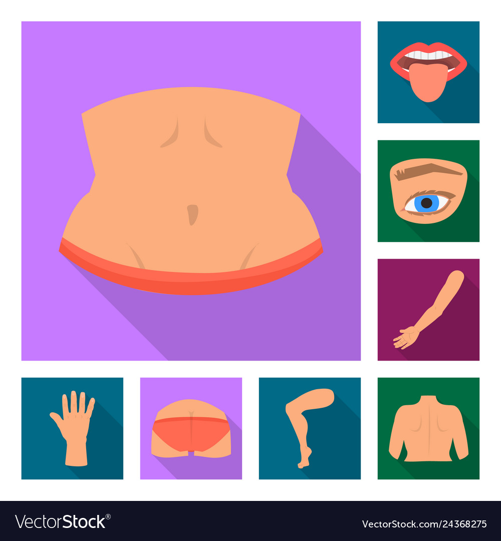 Design of body and part symbol collection