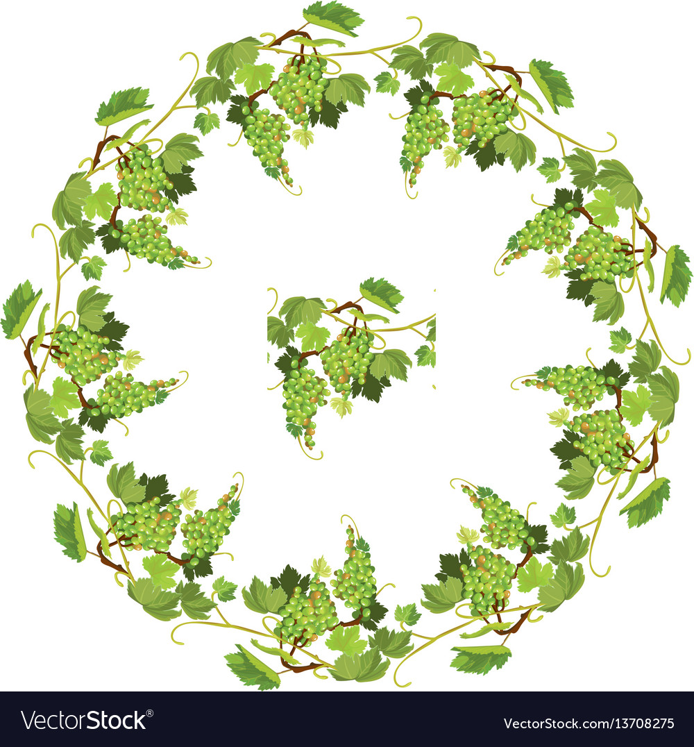 Round grapes frame and repeated element for wine vector image Round grapes frame and repeated element for wine