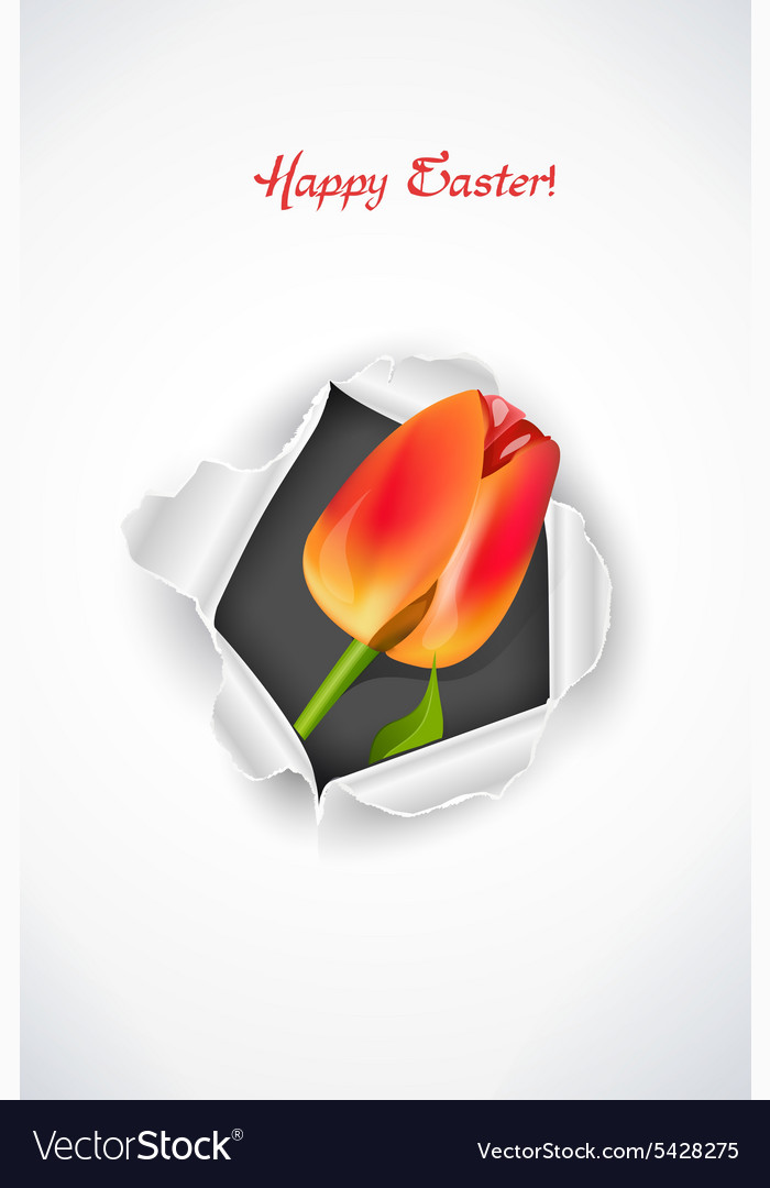 Spring background