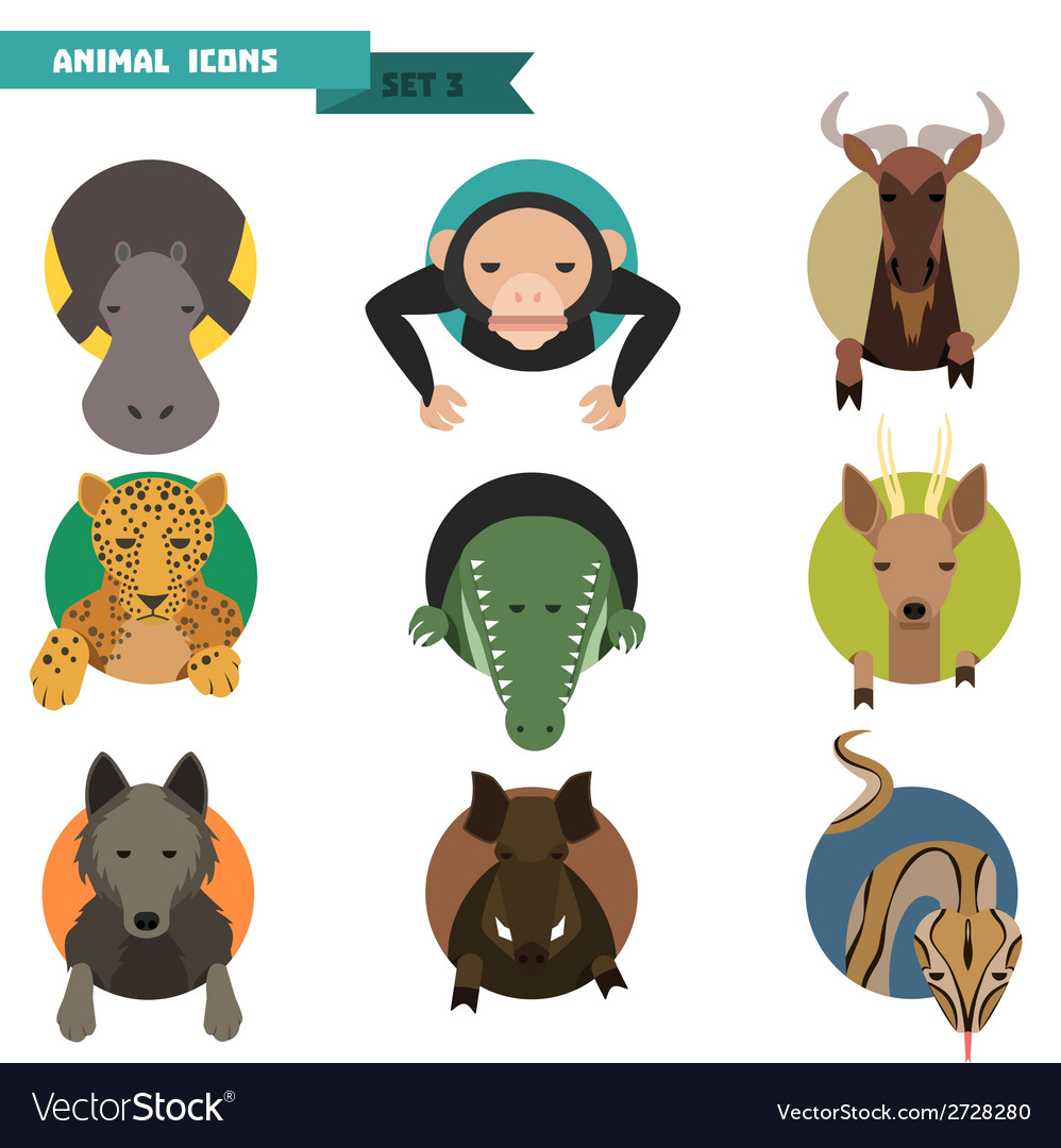 Animal avatars Royalty Free Vector Image VectorStock