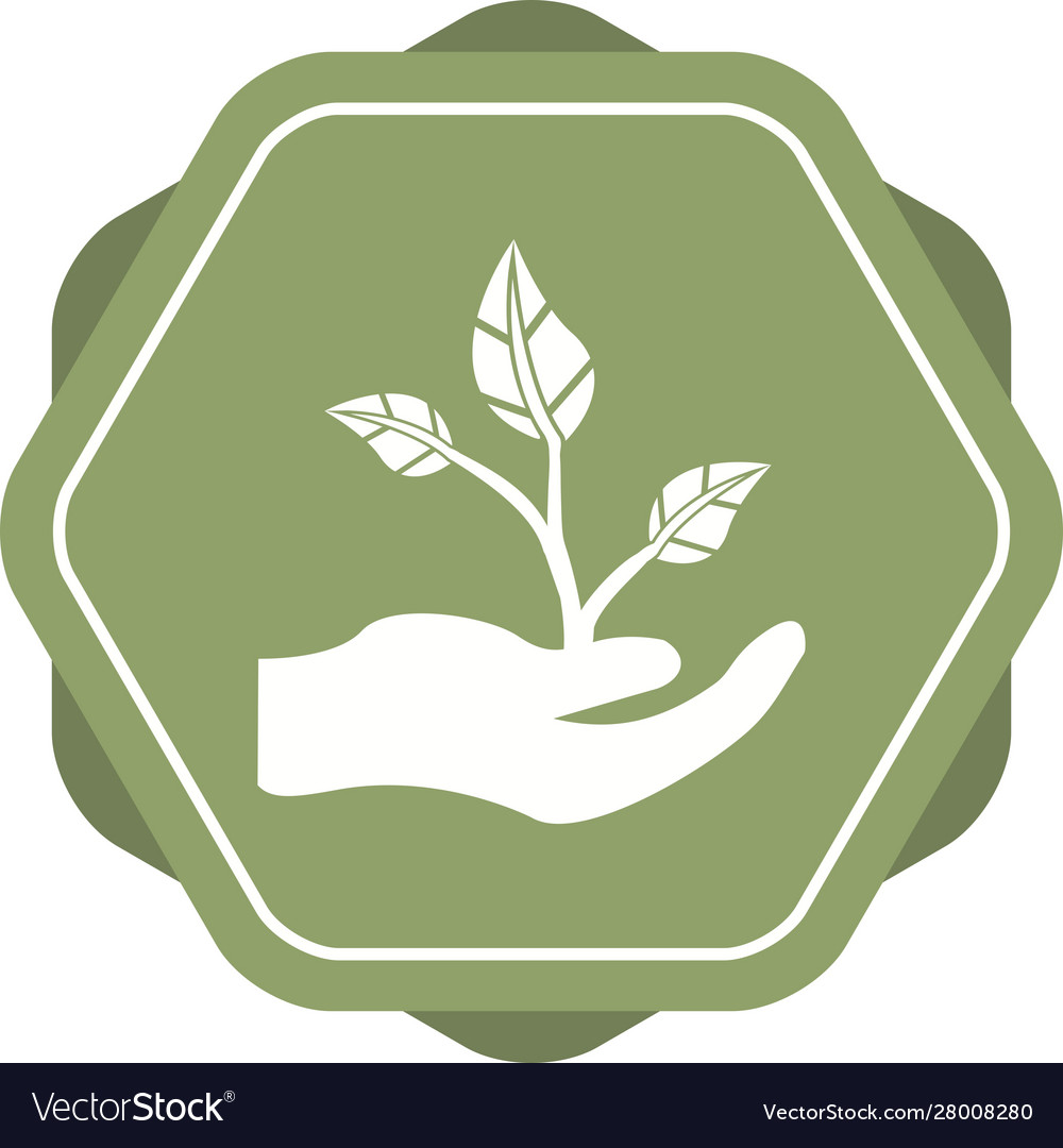 Beautiful planting glyph icon Royalty Free Vector Image