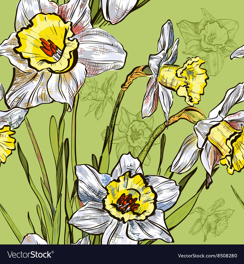 Seamless daffodil sketch design pattern Royalty Free Vector