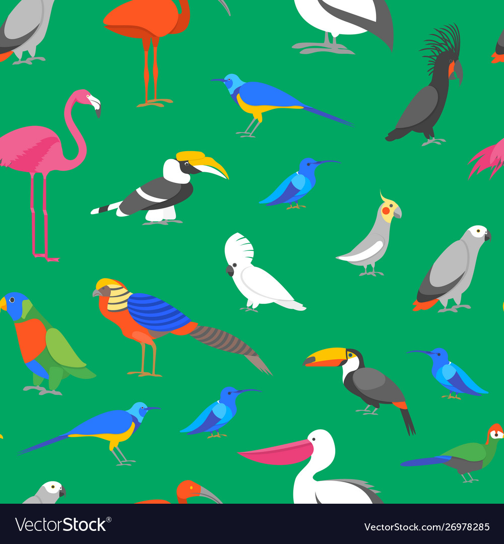 Cartoon color exotic bird seamless pattern