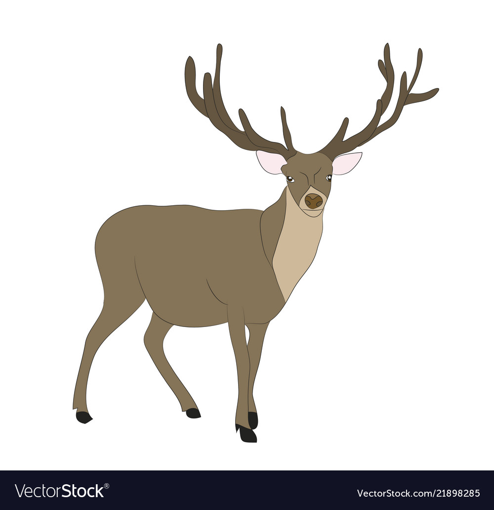 Deer lies Royalty Free Vector Image - VectorStock