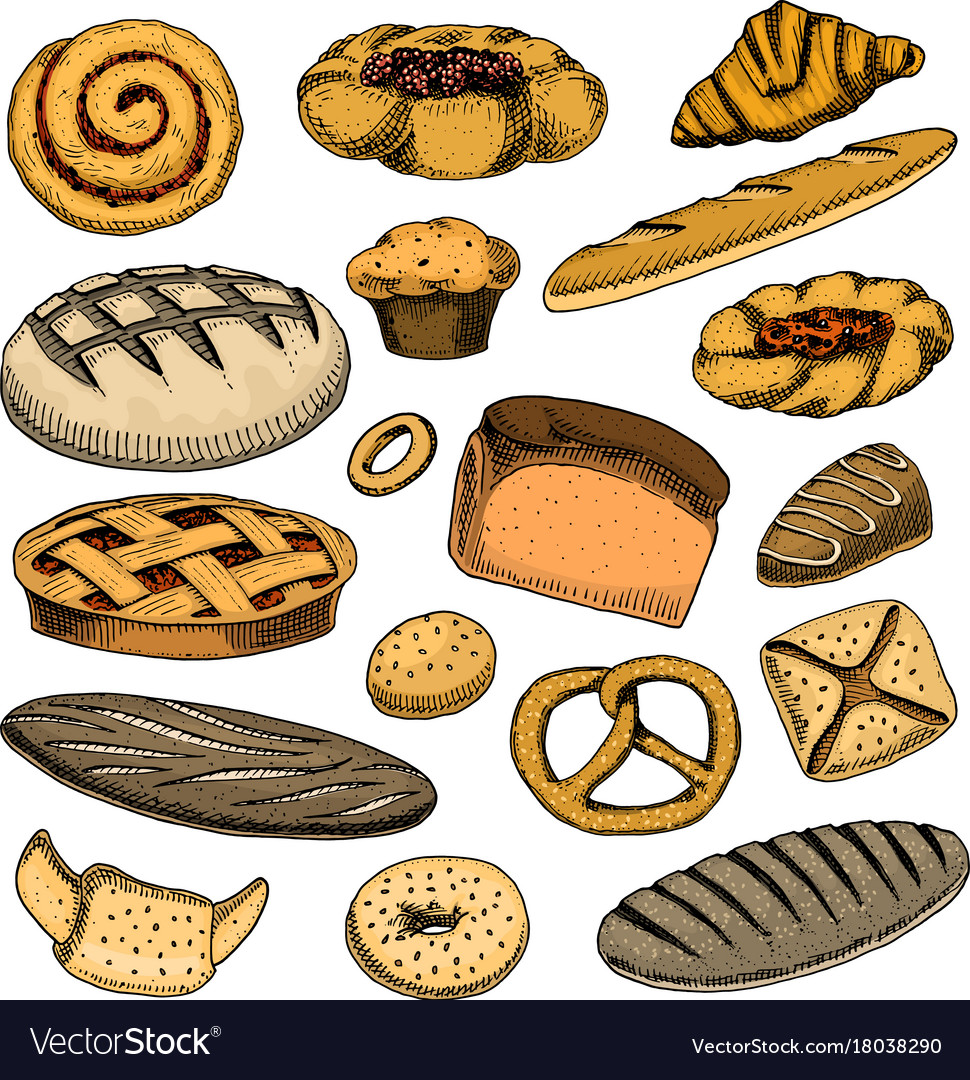 Bread and pastry donut belgian waffles fruit Vector Image