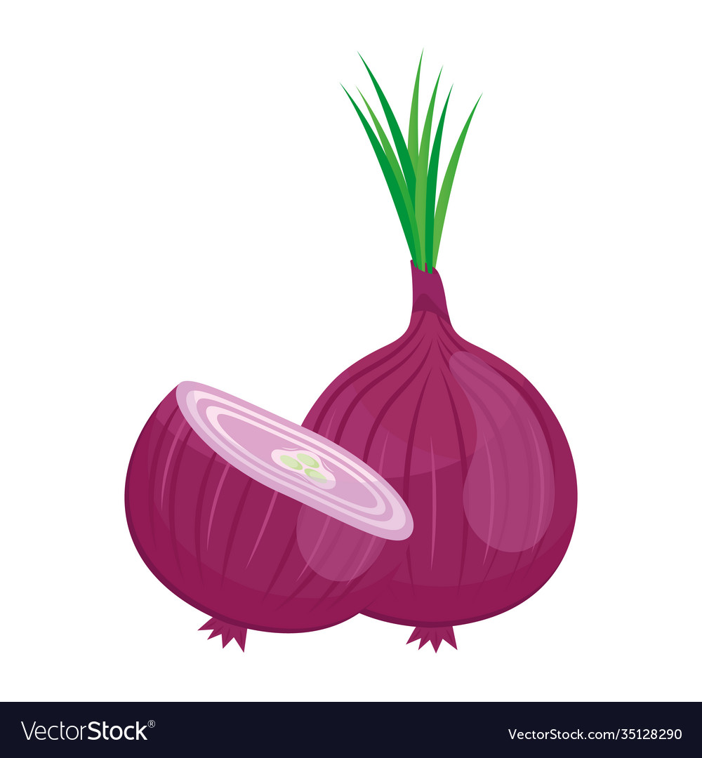 Fresh vegetable purple onion healthy food icon Vector Image