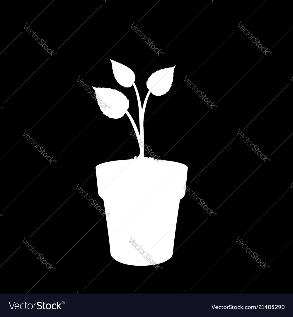 Sprouting Plant in Pot Silhouette