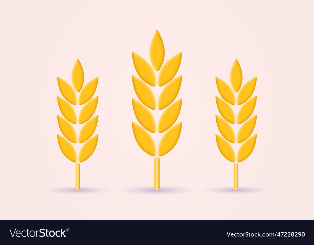 Wheat 3d icon grain barley cereal plant sign