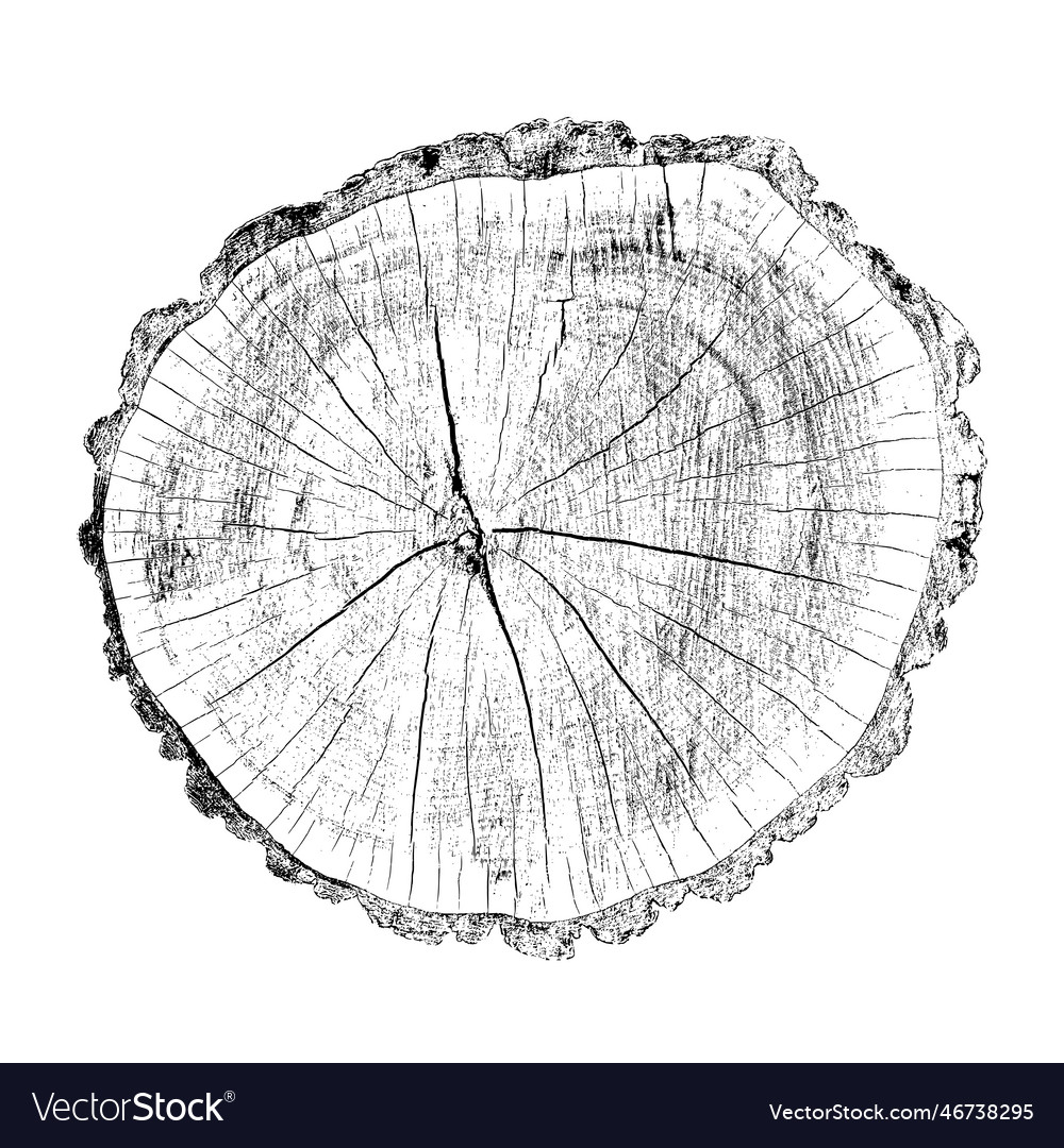 Distressed Wood Texture Royalty Free Vector Image