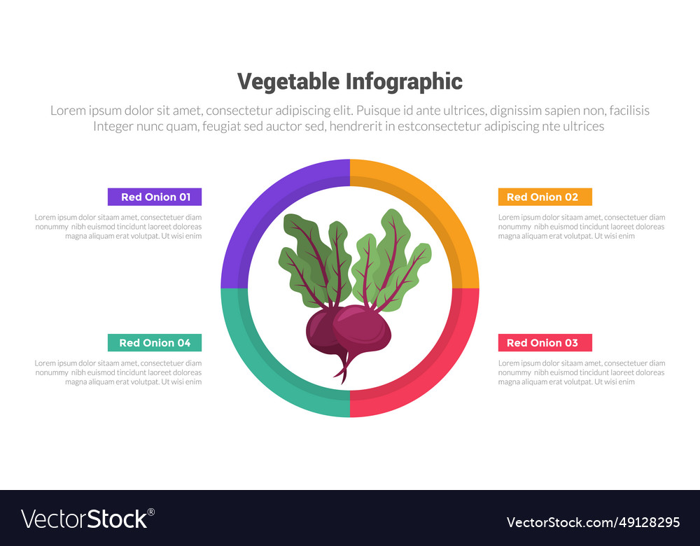 Frische pflanzliche und gesunde Infografiken Vorlage