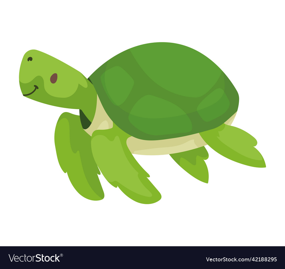 Turtle cute animal kid Royalty Free Vector Image