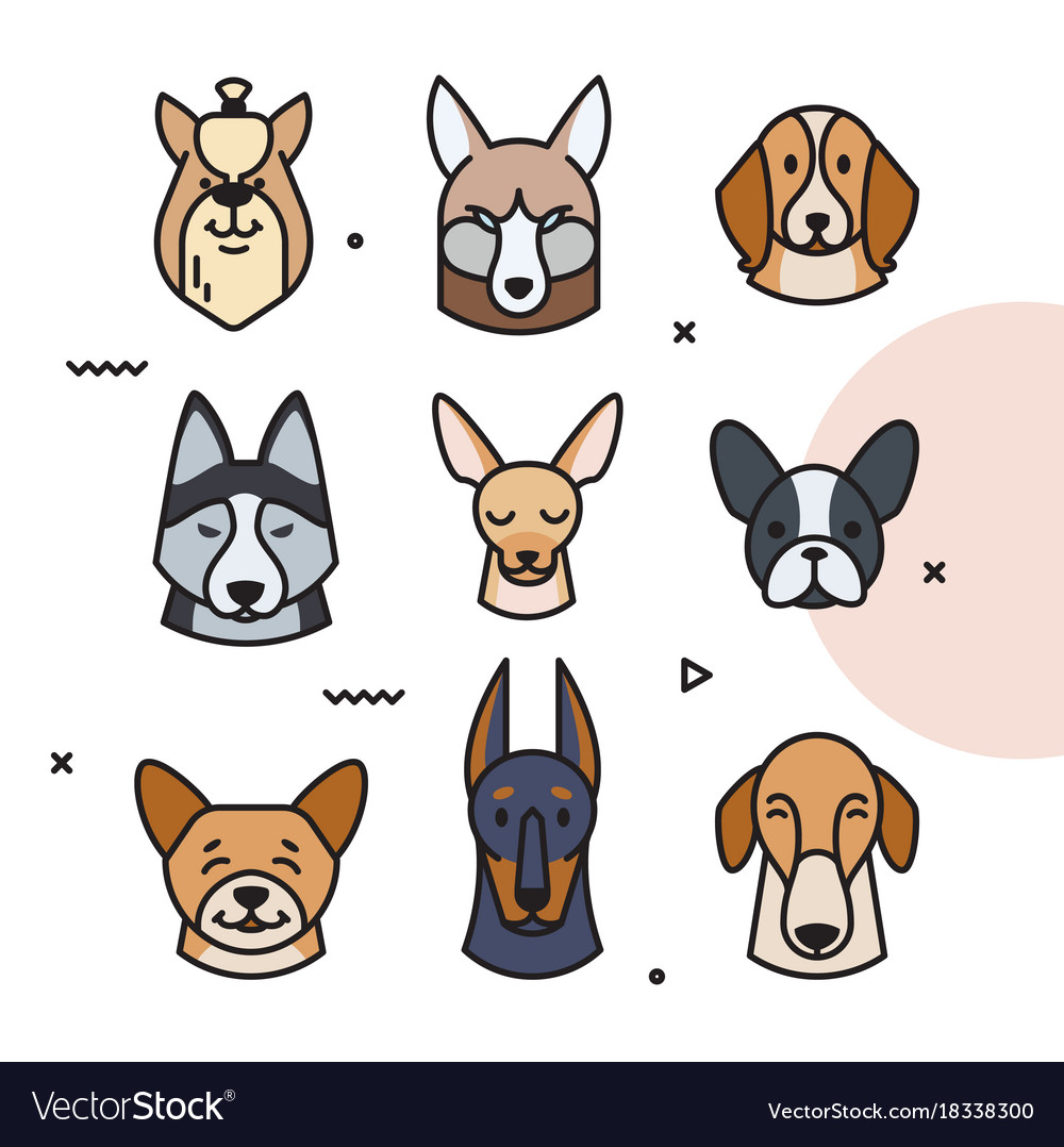 A head of different breeds