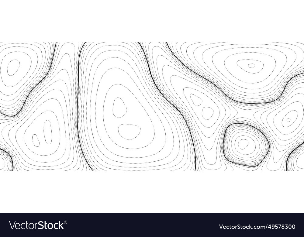 Abstract line background topographic contour map vector image Abstract line background topographic contour map